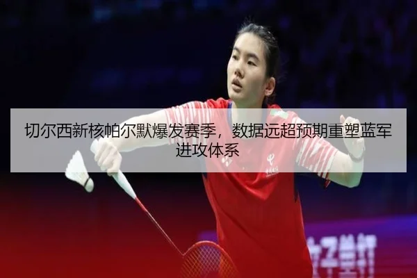 qie-er-xi-xin-he-pa-er-mo-bao-fa-sai-ji-shu-ju-yuan-chao-yu-qi-zhong-su-lan-jun-jin-gong-ti-xi-3-351.jpg